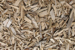 biomass boilers Trelill